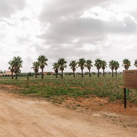 Farm stay Claudia By Nura Campos (Mallorca)